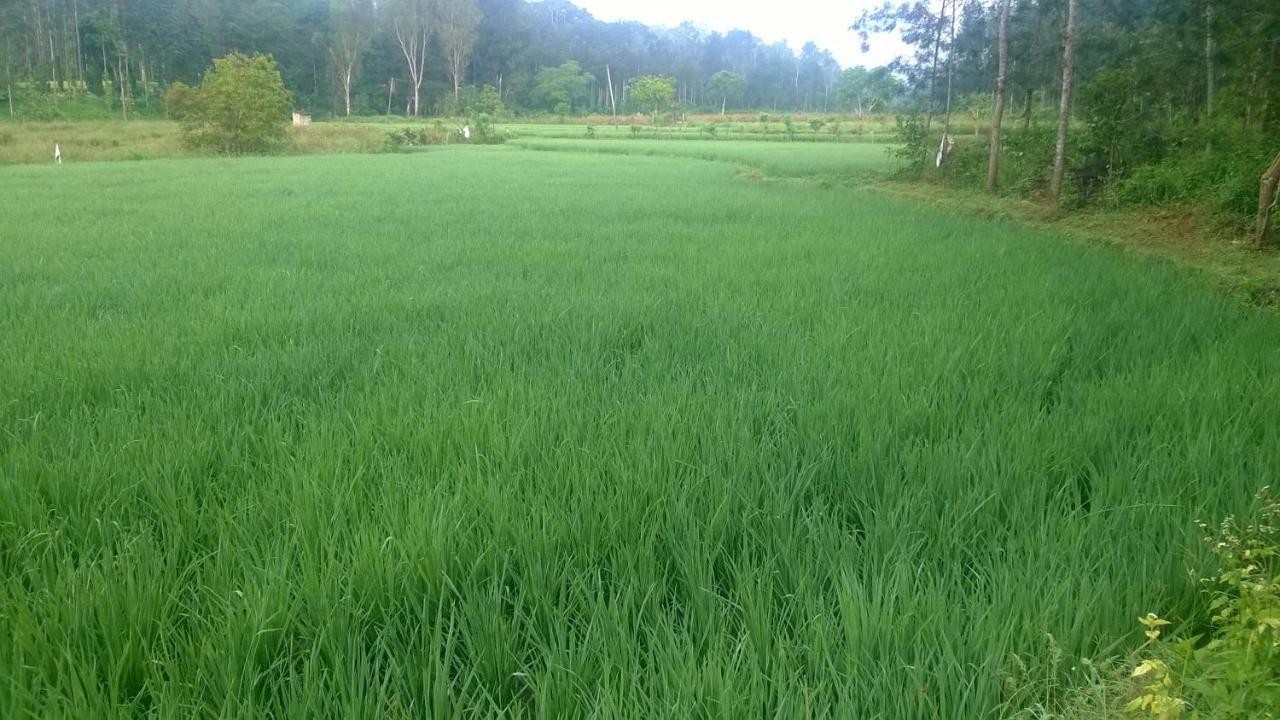 Rai Cottage @ Coorg ,Suntikoppa Exteriör bild